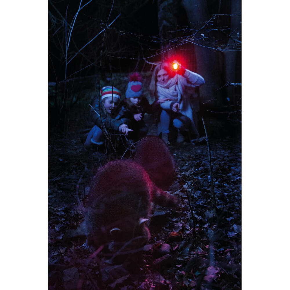 Latarka warsztatowa z futerałem Abus 500 Lumens 2/3