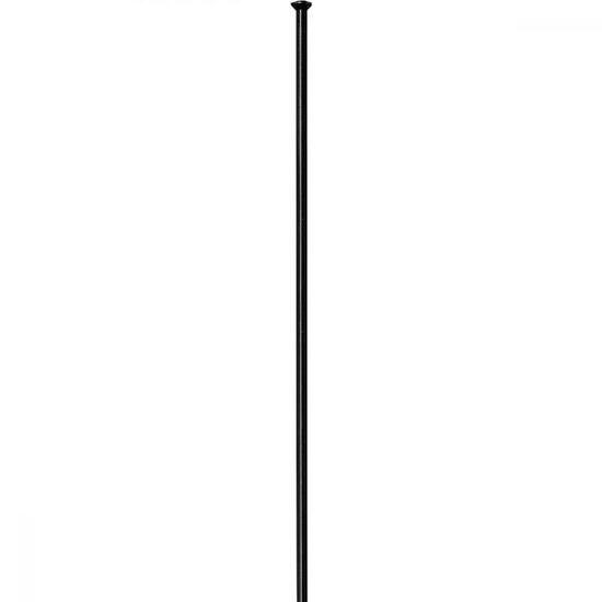 DT Swiss Speiche Competition 2.0 / 1.8 Straightpull 290 mm schwarz - robuste ...