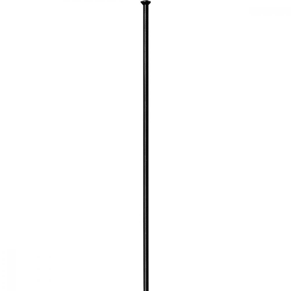 DT Swiss Speiche Competition 2.0 / 1.8 280 mm schwarz Straightpull - hohe Sta... 2/3