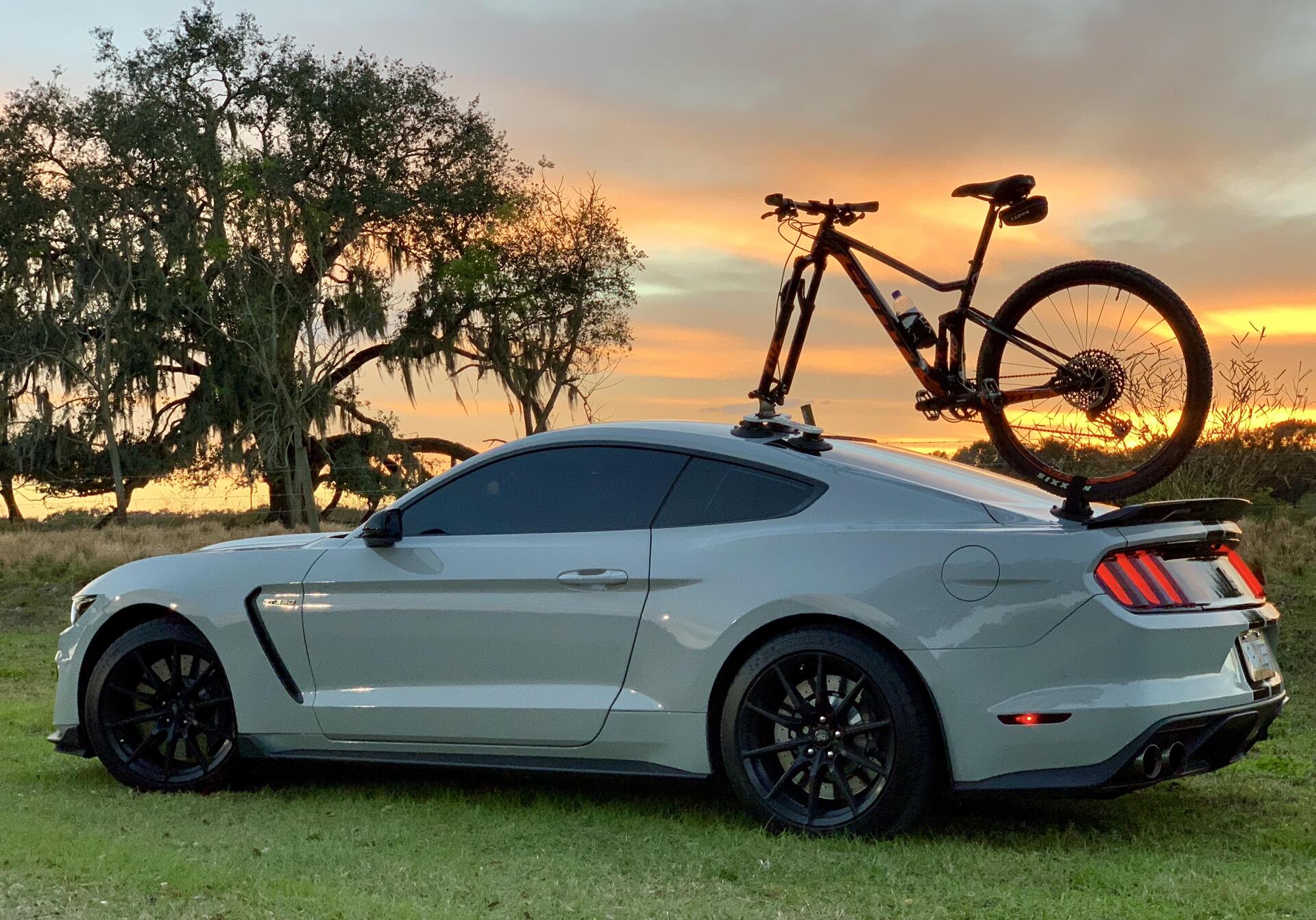 Luggage Rack Bike Rack For Mustang With Spoiler TALON BIKE RACK