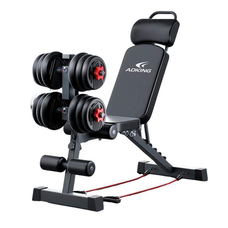 NNETM Dumbbell Sit-Up Bench Home Gym Equipment