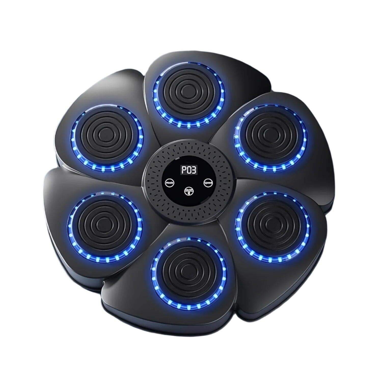 NNETM Musical Wall Boxing Target Training Machine