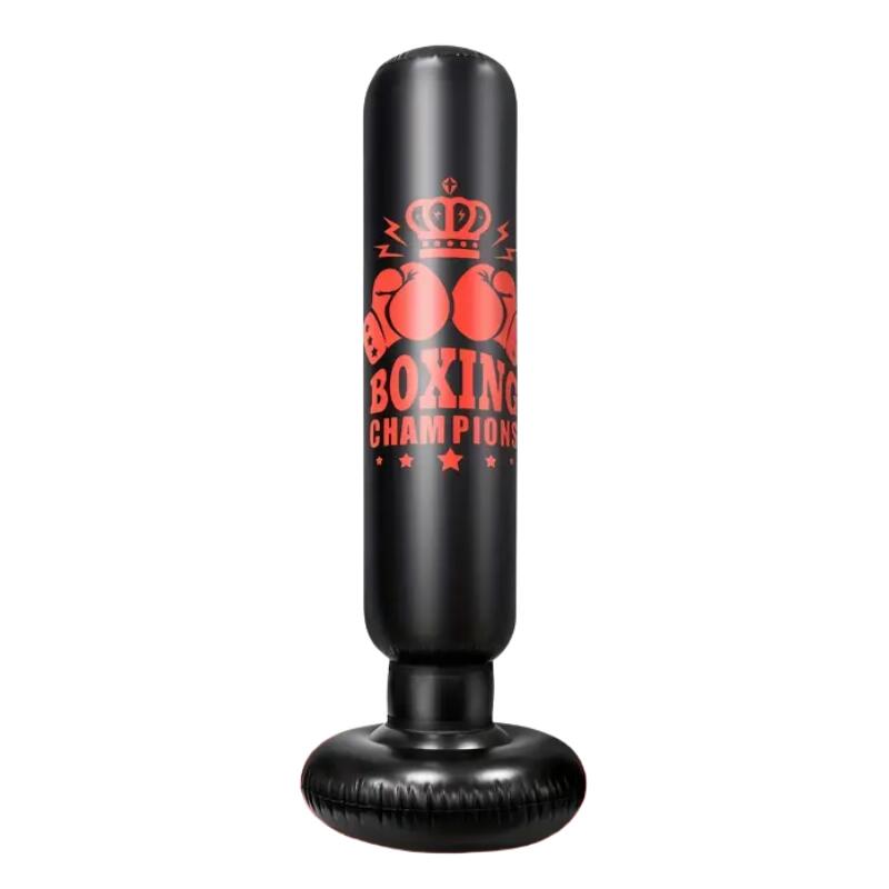 Punching Bag with Gloves & Skipping Rope