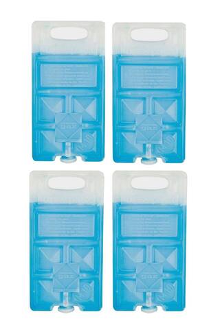 Freez Pack M10 Reusable Ice Substitute for Ice Box - Pack of 4