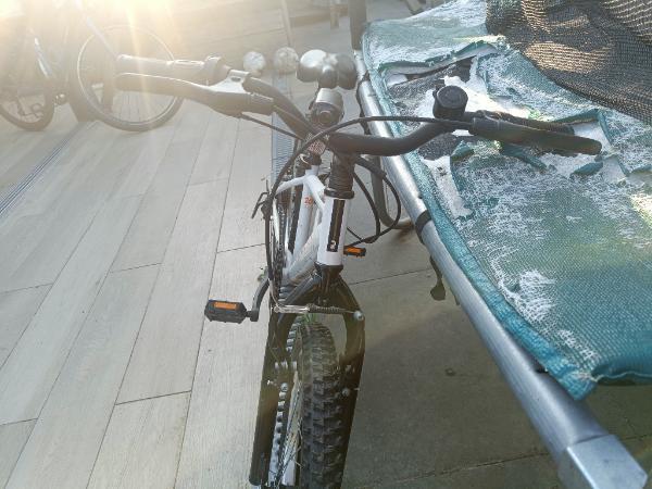 ROCKRIDER picture