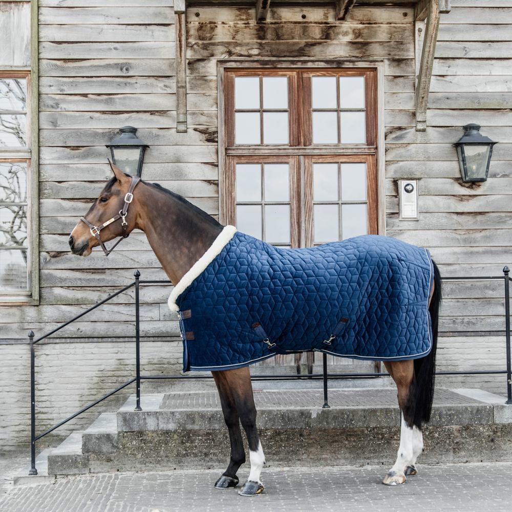Show Rug Velvet marine 80-4'0 160g 4/5