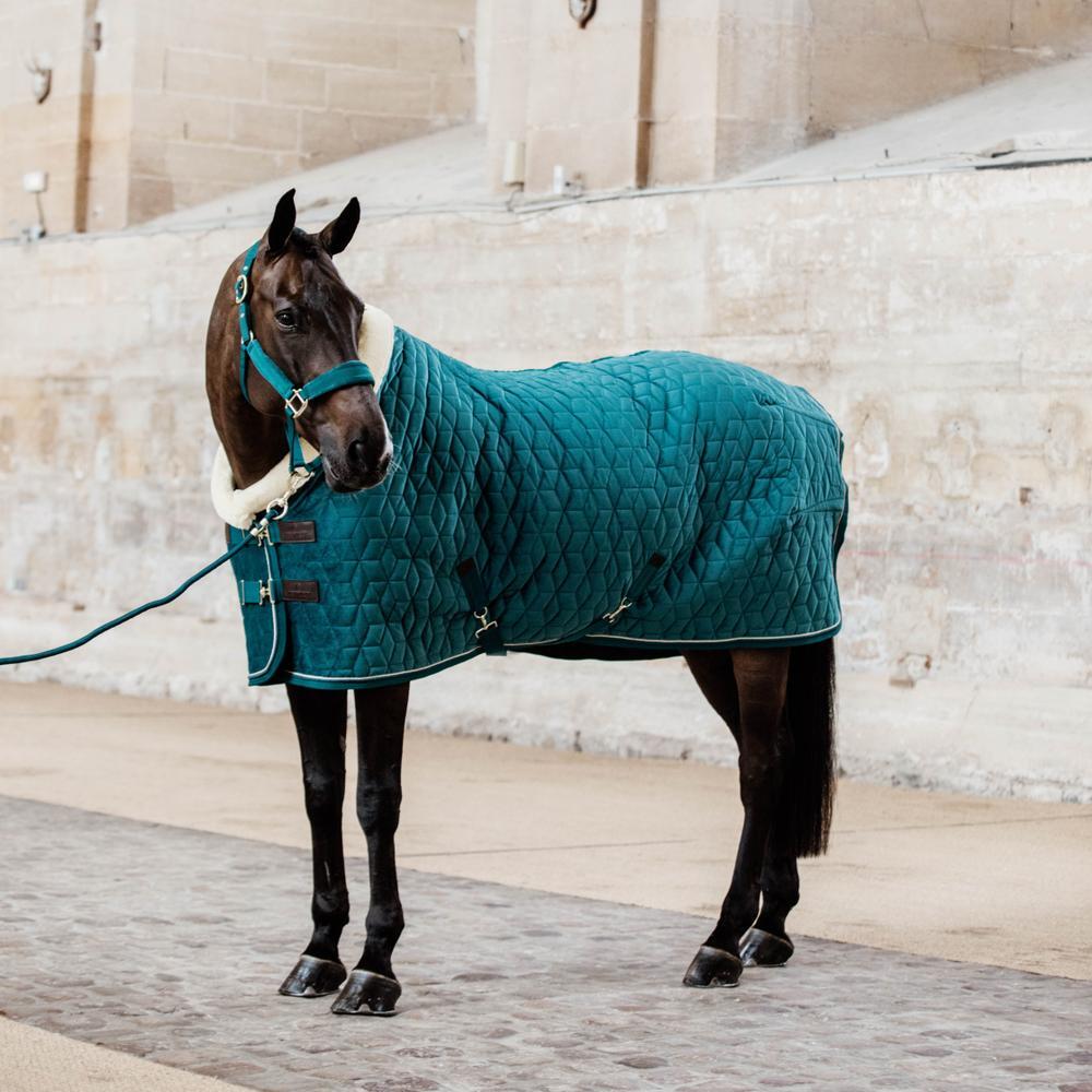 Manta de presentación para caballos Kentucky Velvet 160 g 5/5
