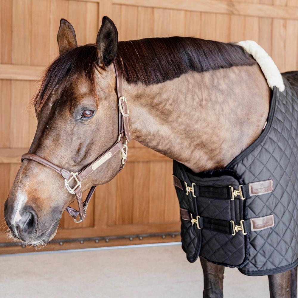 Estensione per il petto di cavallo imbottita in pelle di pecora vegana Kentucky 3/6