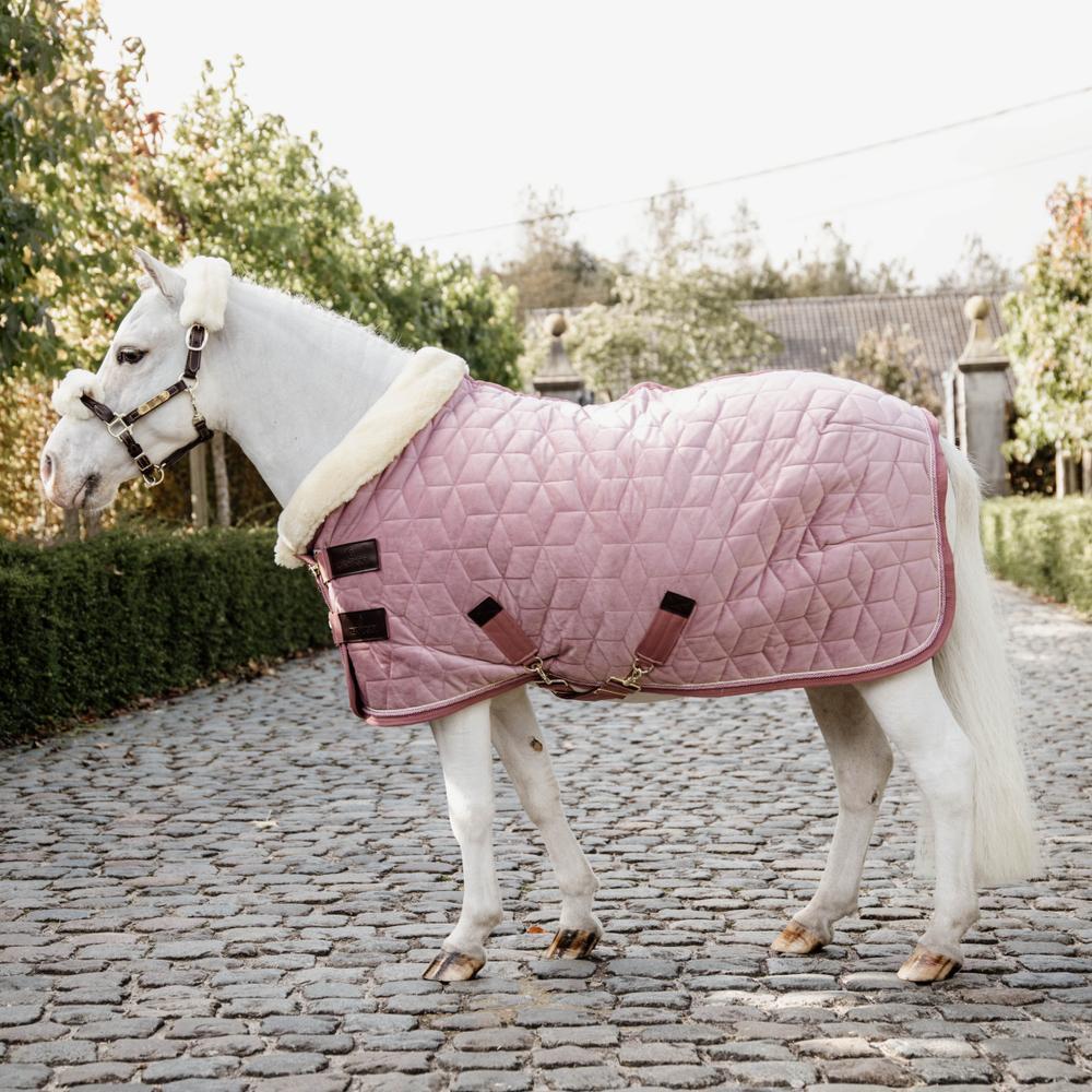 Manta de apresentação para cavalos Kentucky Velvet 160 g 3/5