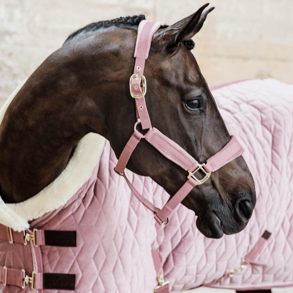 Manta de apresentação para cavalos Kentucky Velvet 160 g 5/5