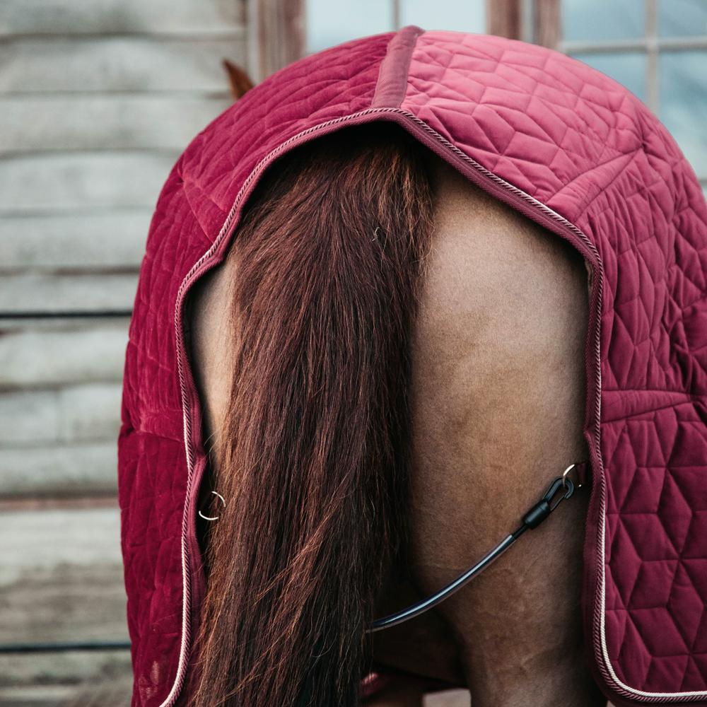 Coperta da stalla in velluto Kentucky 160g 3/5