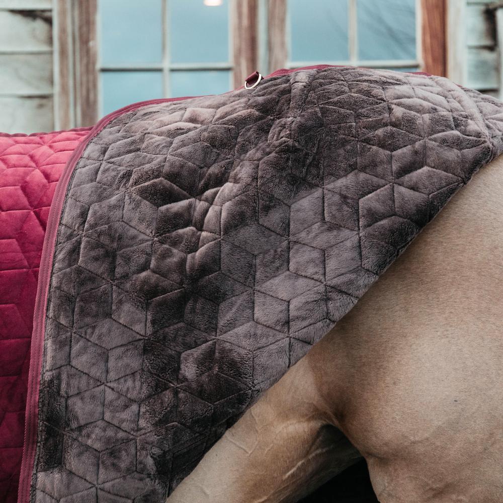 Coperta da stalla in velluto Kentucky 160g 4/5