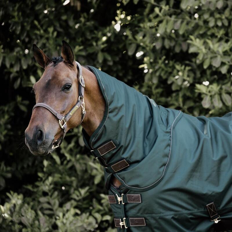 Kentucky Neck All Weather Pro Groen -