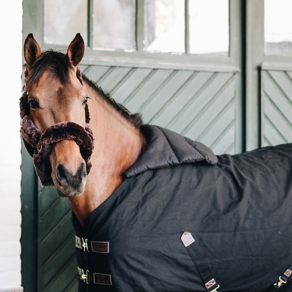 Horse BIB summer black 3/5