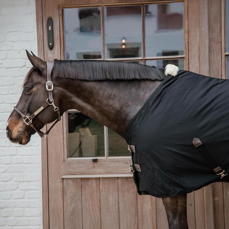 Kentucky Cotton Sheet Zwart -