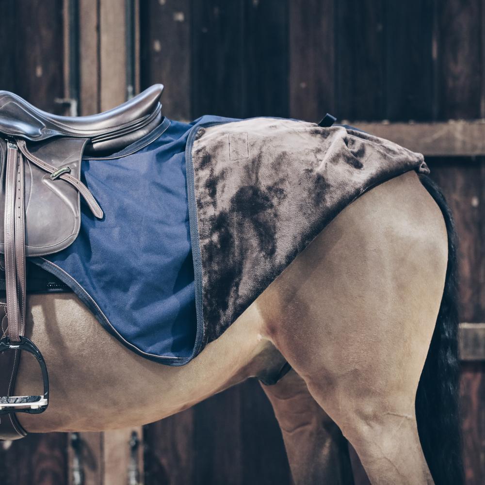 Coprireni per cavalli Kentucky All Weather - 160 g 3/5