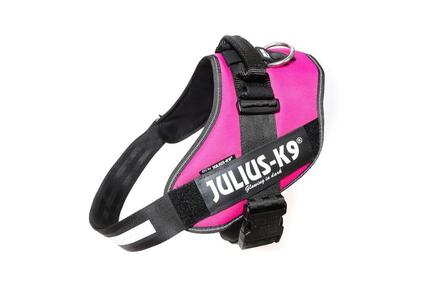 Harnais IDC®Power XSMALL - Mini-Mini rose fuchsia foncé