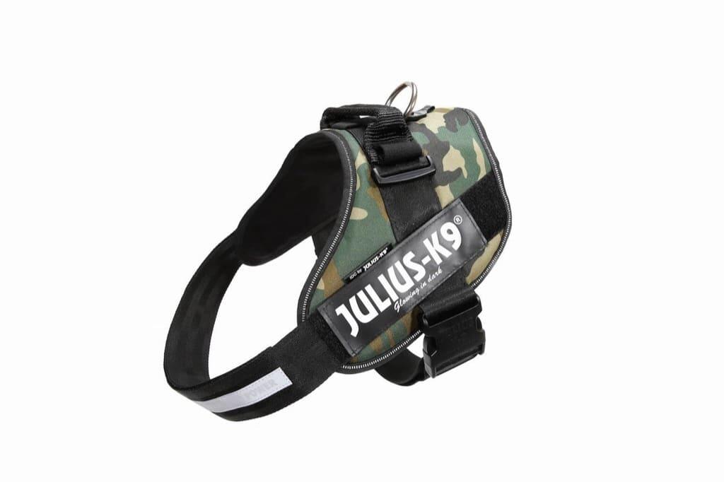 JULIUS-K9 picture