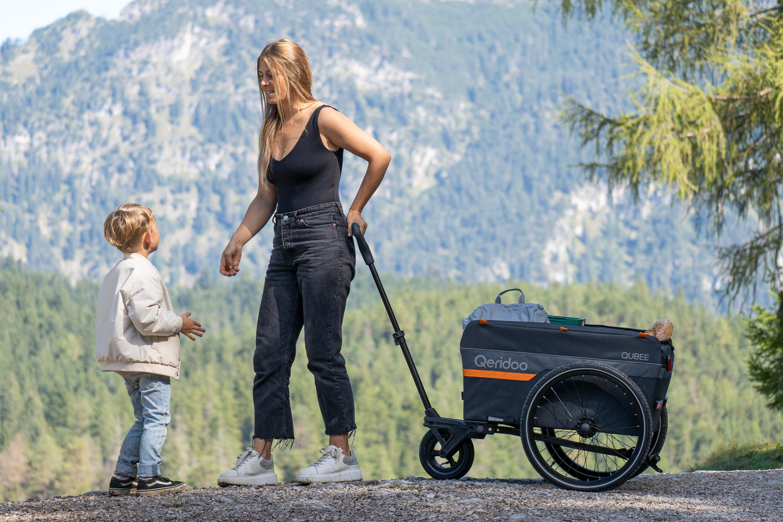 Kit Chariot Qeridoo Qubee 3/3