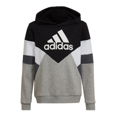 Colorblock fleece hoodie