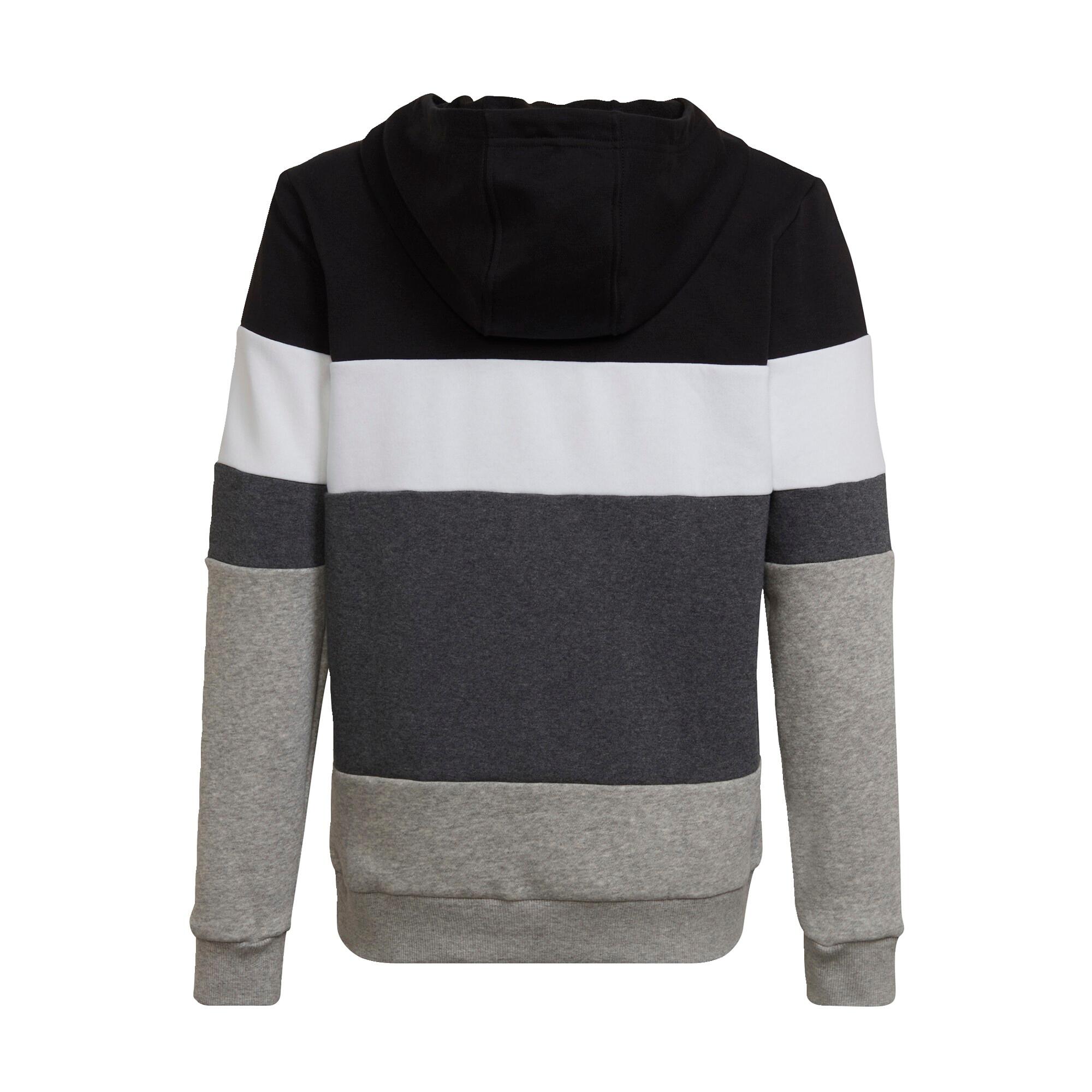 Felpa con cappuccio Colorblock Fleece 2/5