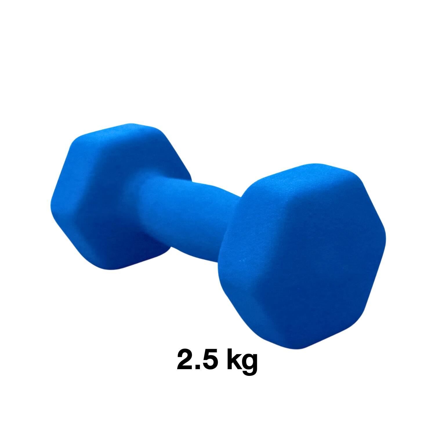 Dumbbell Neoprene 2.5 kg, 1PC. Random Color - Homefittools