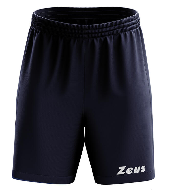 ZEUS picture