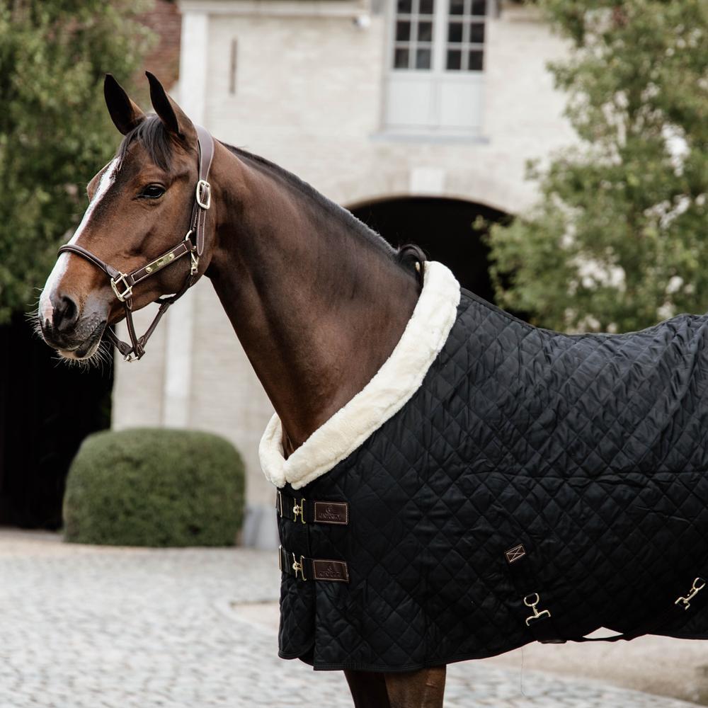 Coperta di presentazione per cavalli Kentucky 160 g 3/7