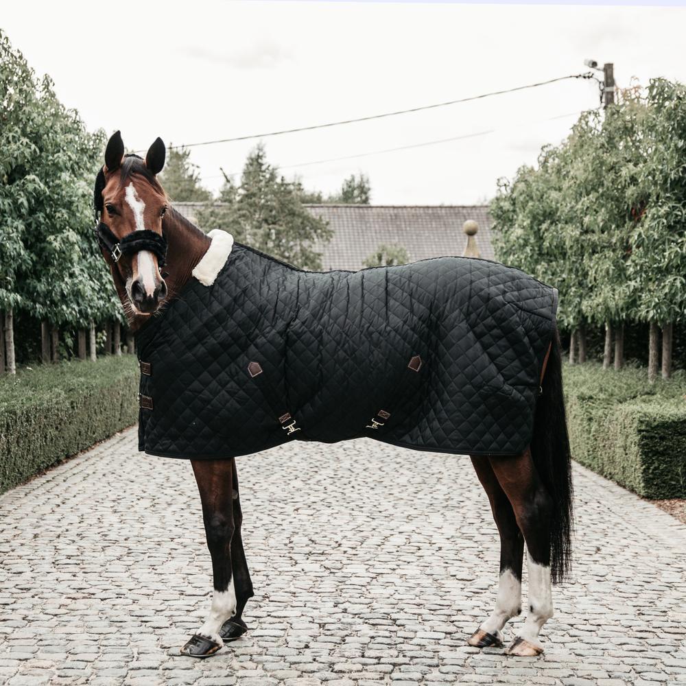 Coperta da stalla per cavalli Kentucky 400 g 3/7