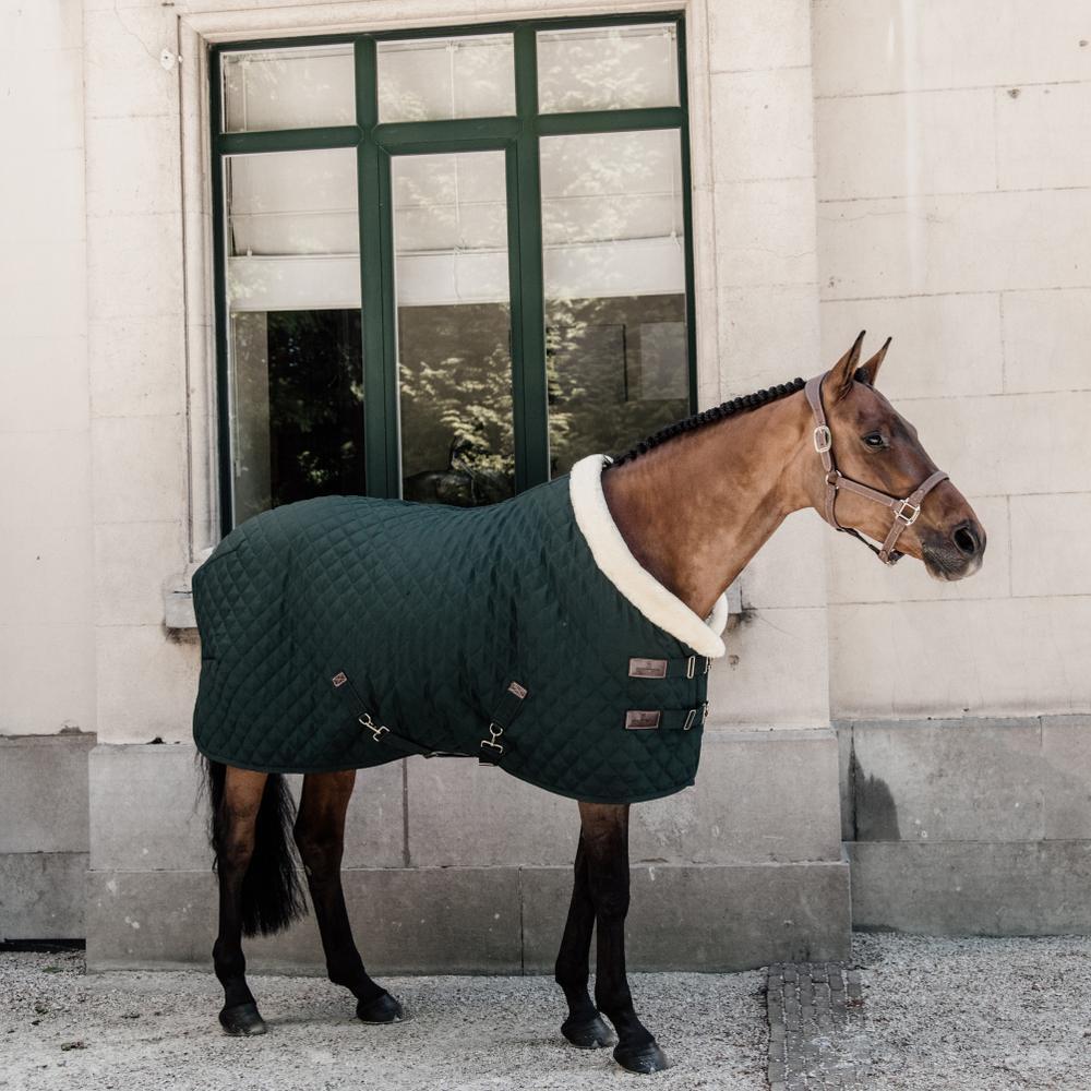 Coperta da box per cavalli di presentazione Kentucky 160 g 4/5