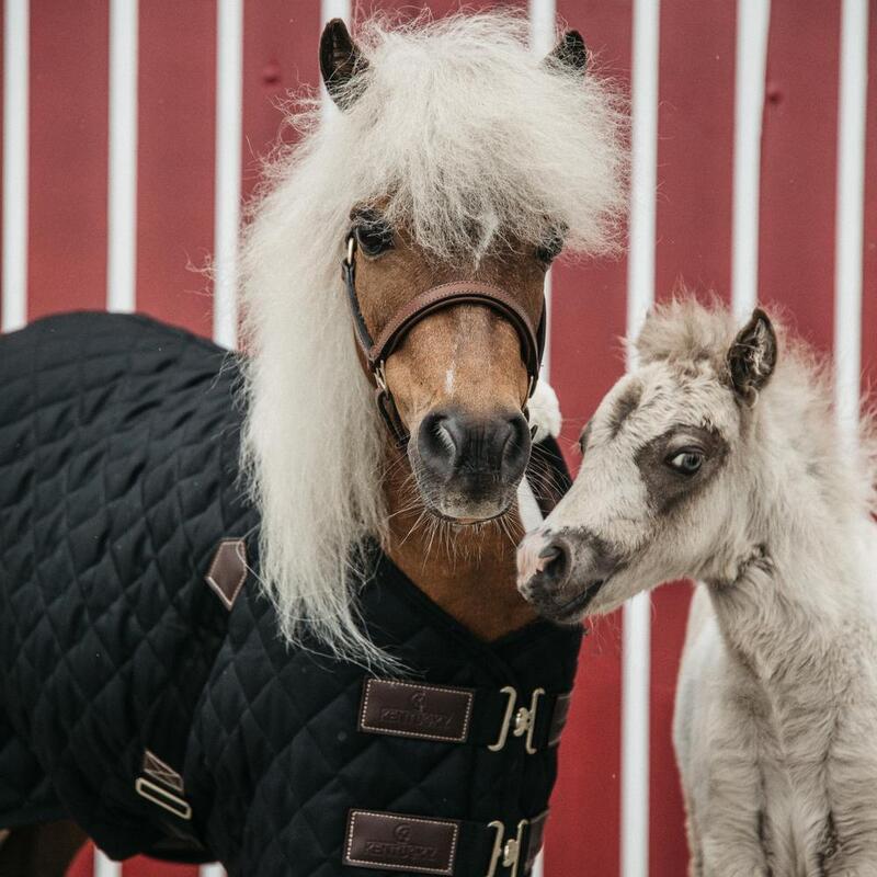 Kentucky Stable Paardendeken 400g Zwart -