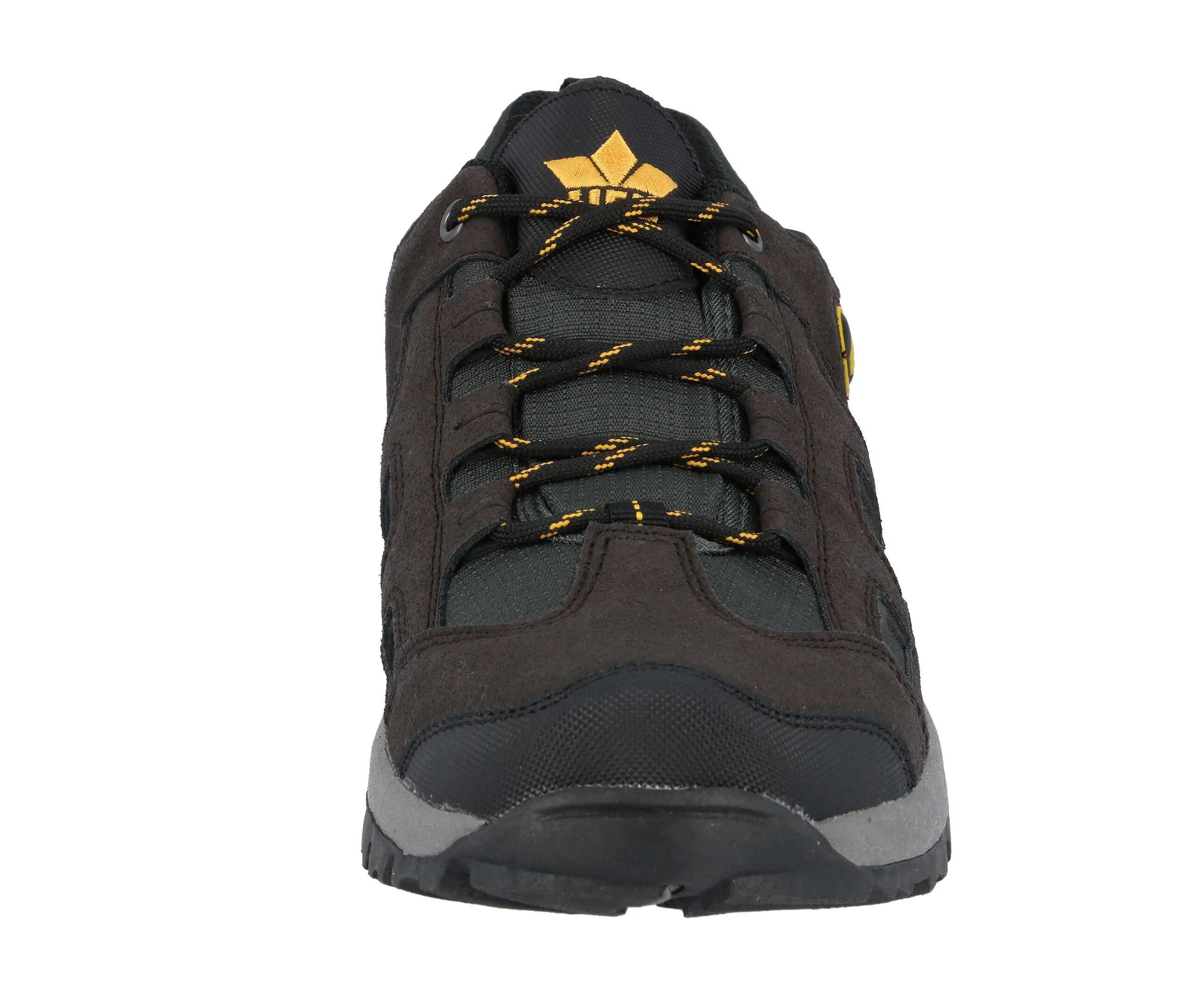 Scarpa multifunzionale Impermeabile e traspirante Uomini LICO Eagar Low 3/5