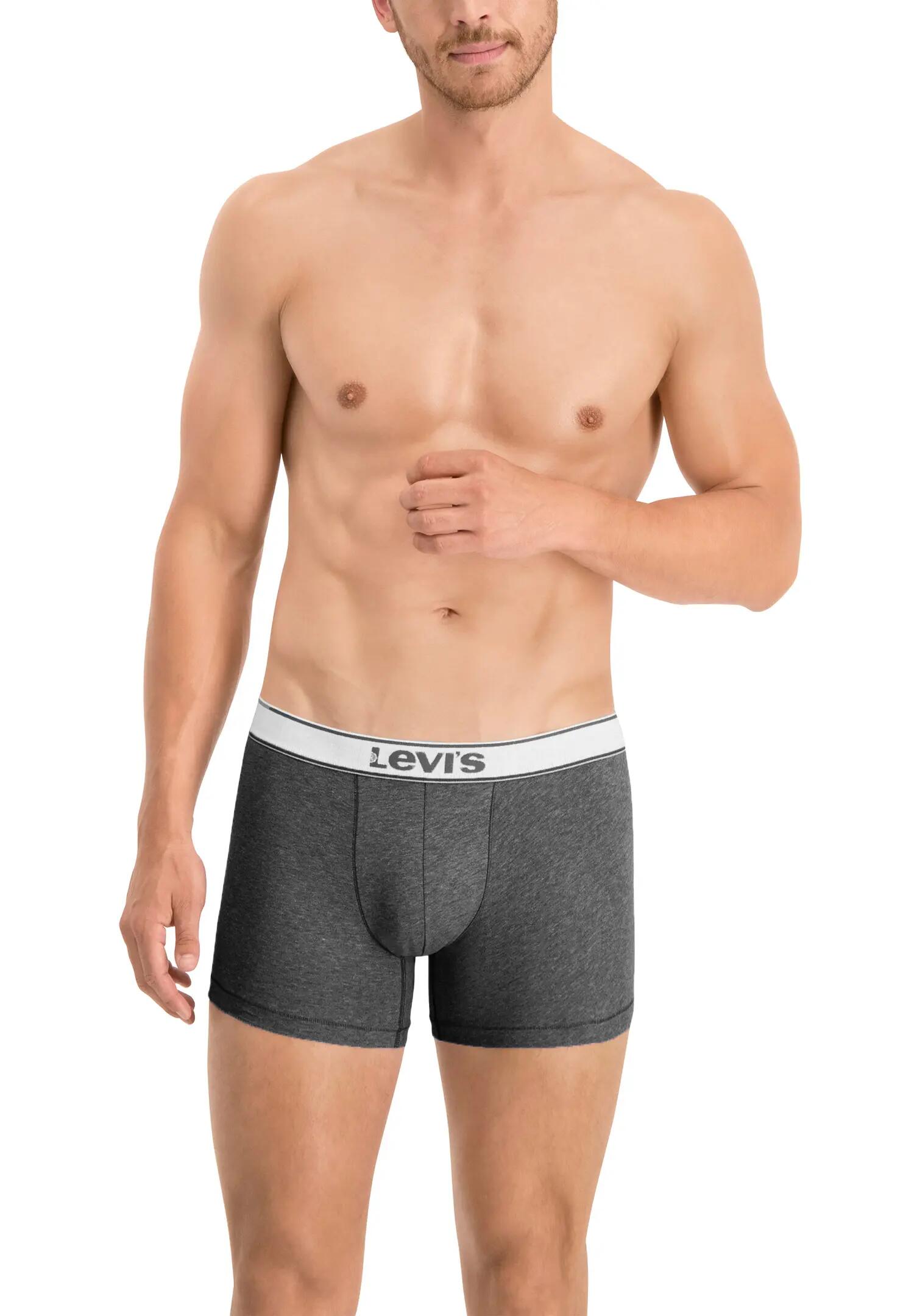 Férfi boxeralsó, Levi's Boxer 2 Pairs Briefs, sötétkék 3/3