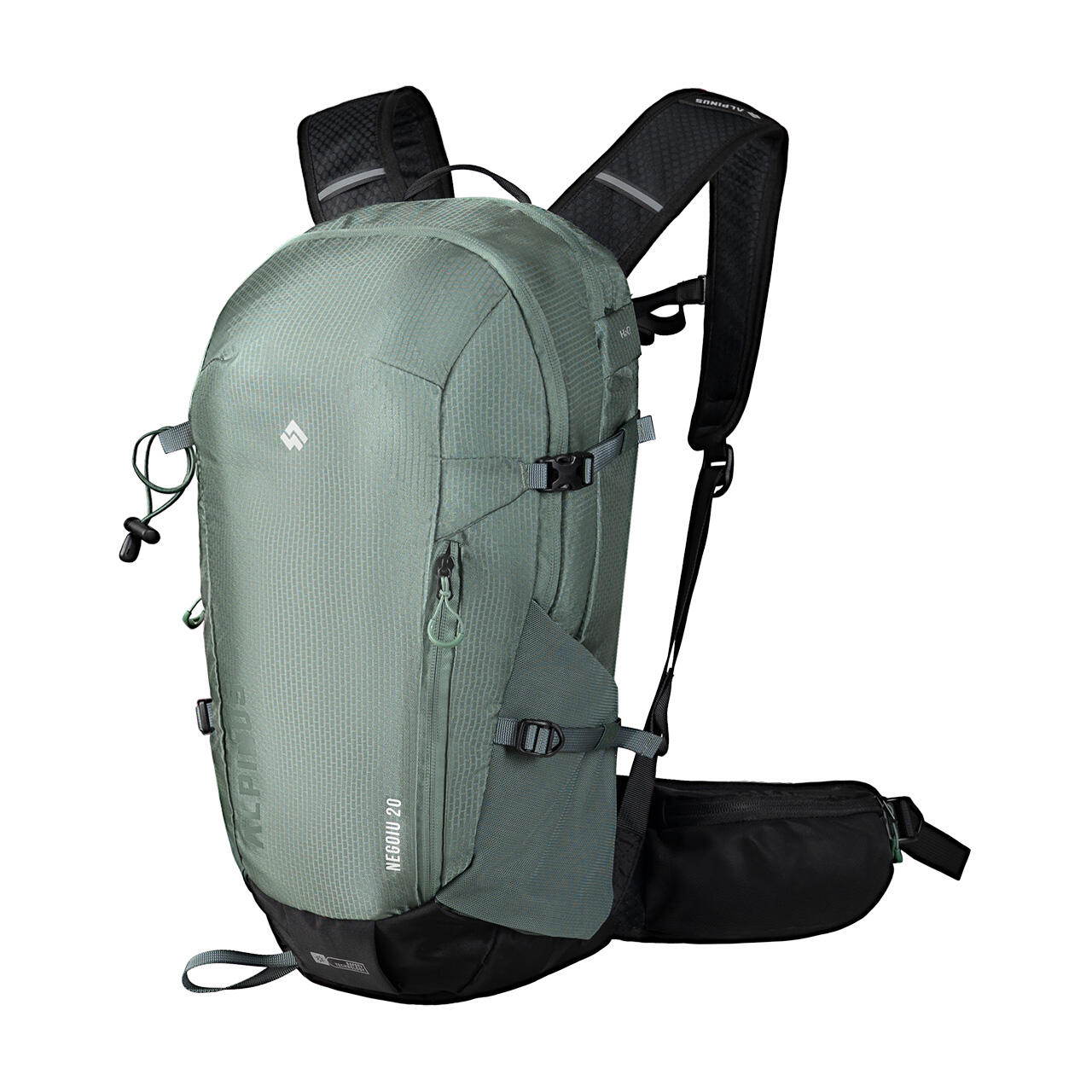 ALPINUS picture