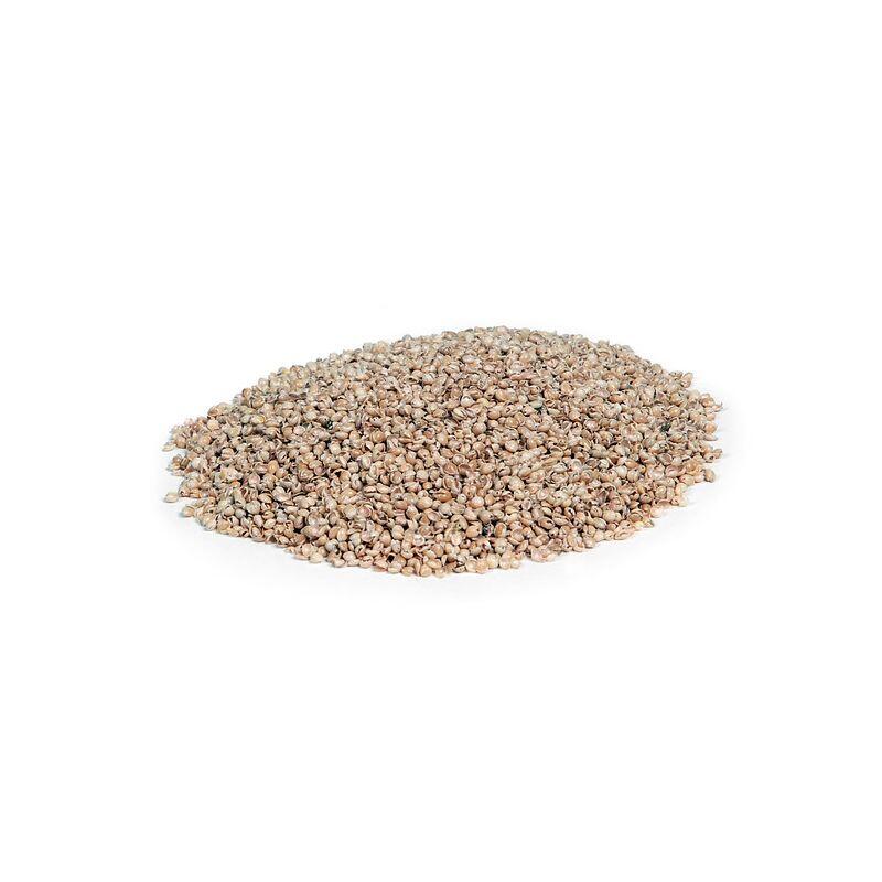PANICORE Oreiller en balle de millet 3/5
