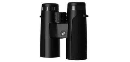 Jumelles GPO Passion 10x42 ED-verte