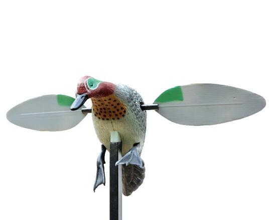 Appelant Mâle Sarcelle Hiver Rotor Stepland Ailes Rotatives Electriques