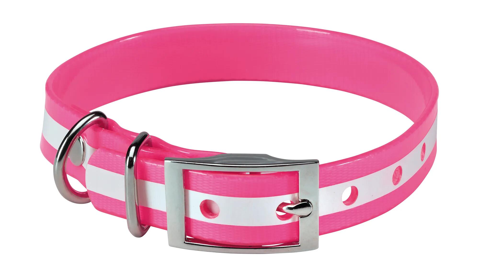 Collier pour chien phosphorescent Stepland 3/3