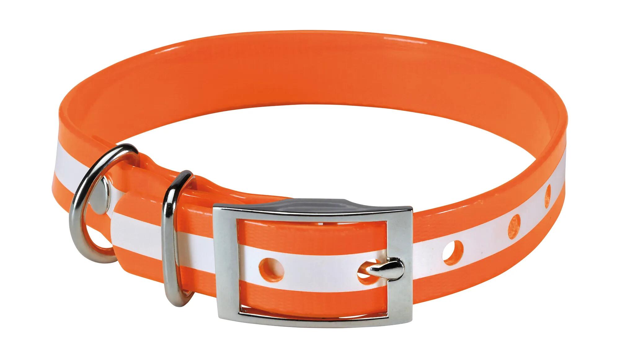 Collier pour chien phosphorescent Stepland 2/3
