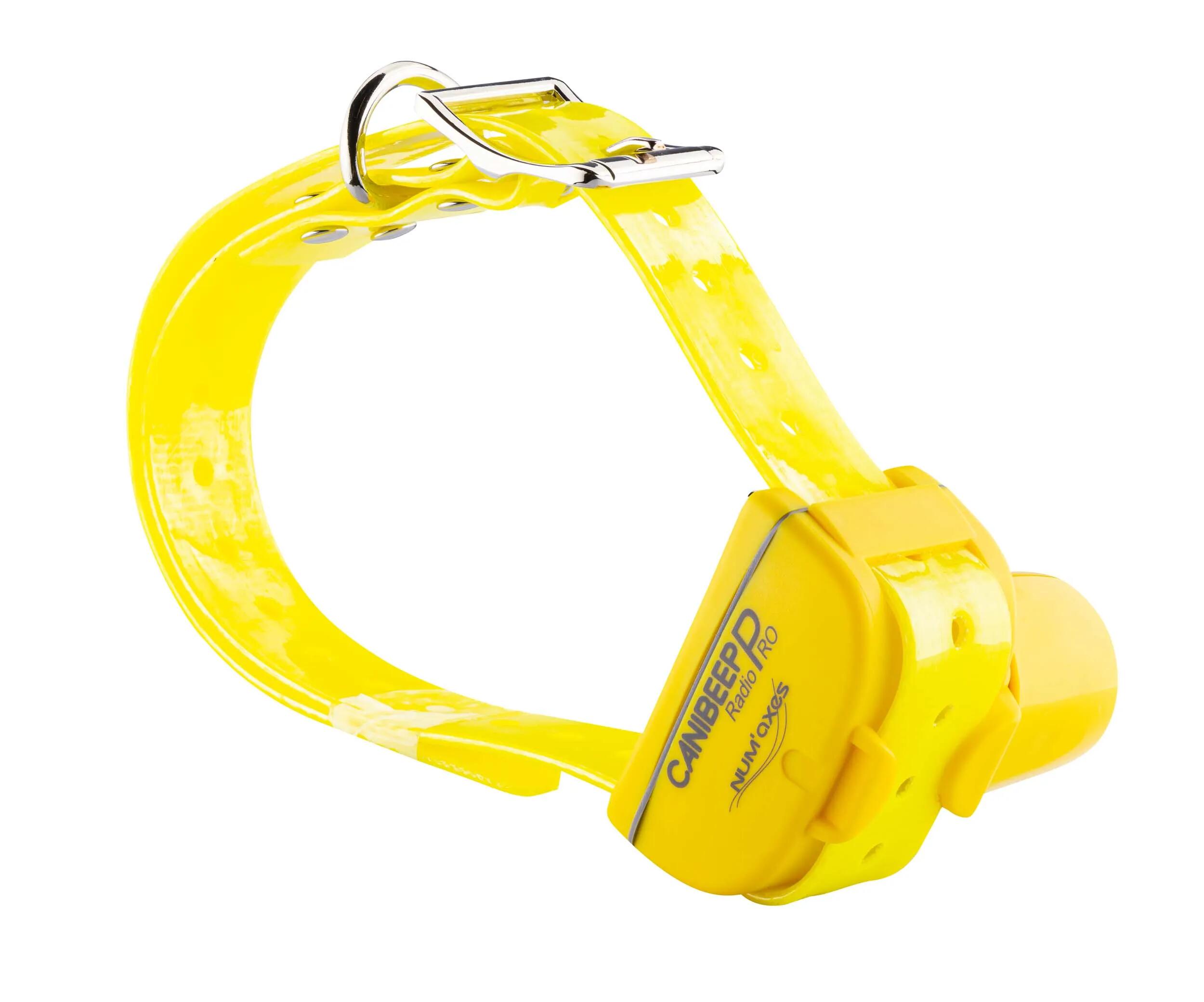 Halsband mit akustischer Ortung + Fernbedienung Num'axes 2/4
