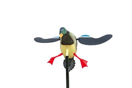 Appelants rotor colvert Stepland