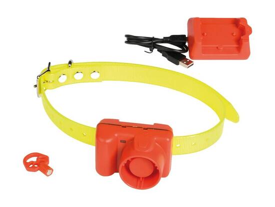 Collier pour Chien de Chasse Biper ProHunt