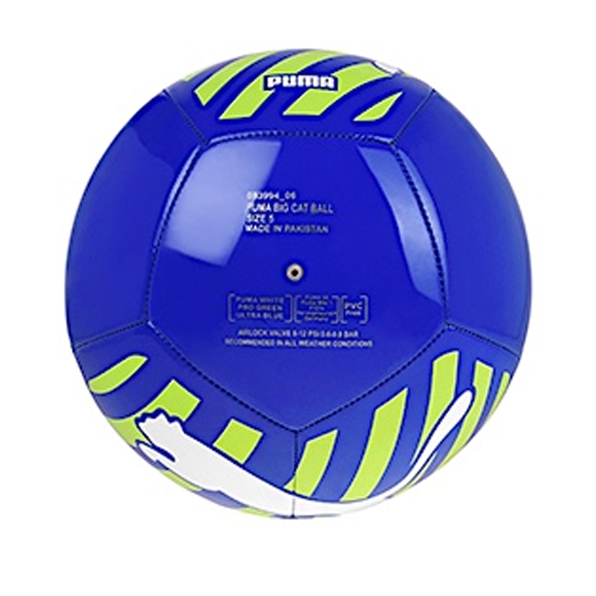 Grote kat voetbal (Blauw) 2/2