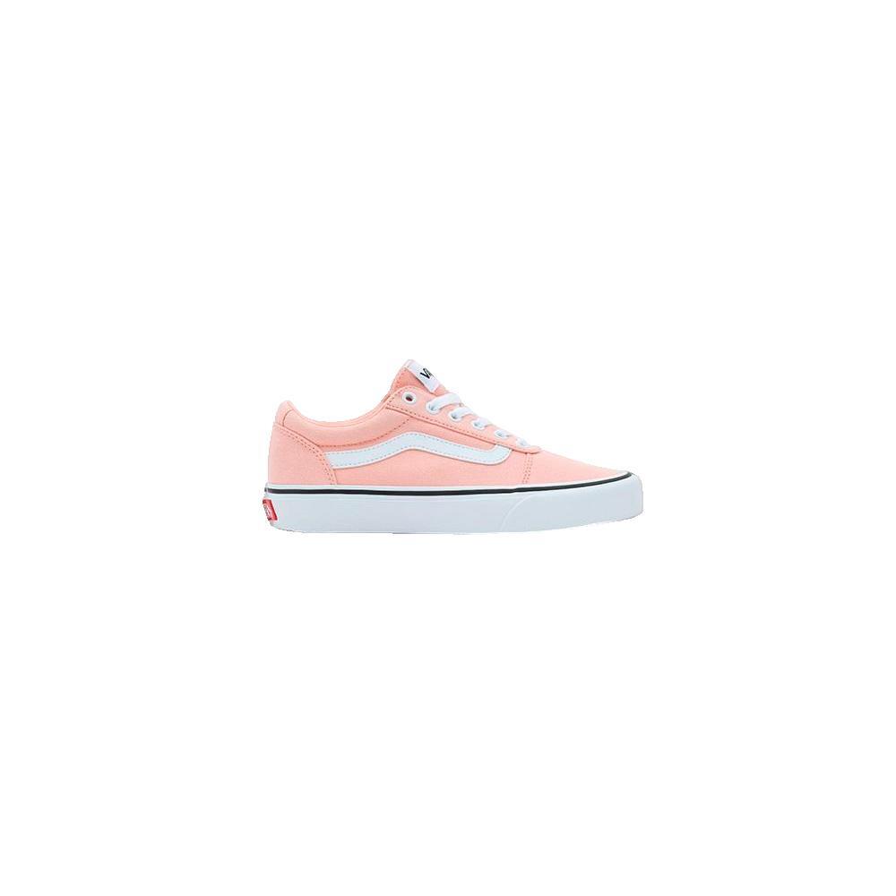 VANS picture