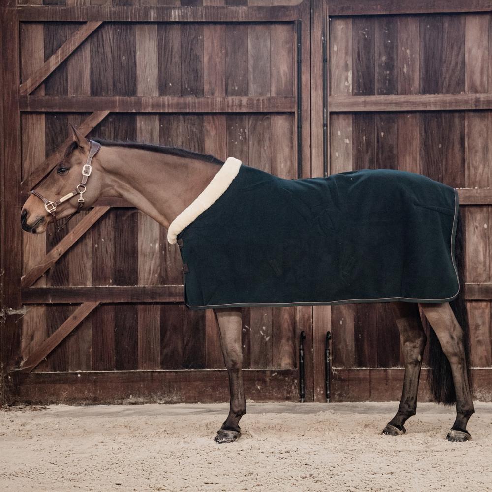Coperta di presentazione per cavalli Kentucky Show Heavy 5/7