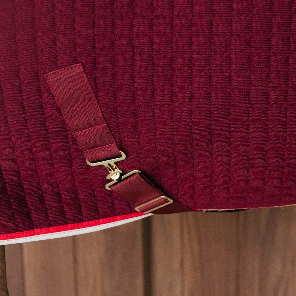Cobertor de secagem para cavalos Kentucky Protherm 3/7