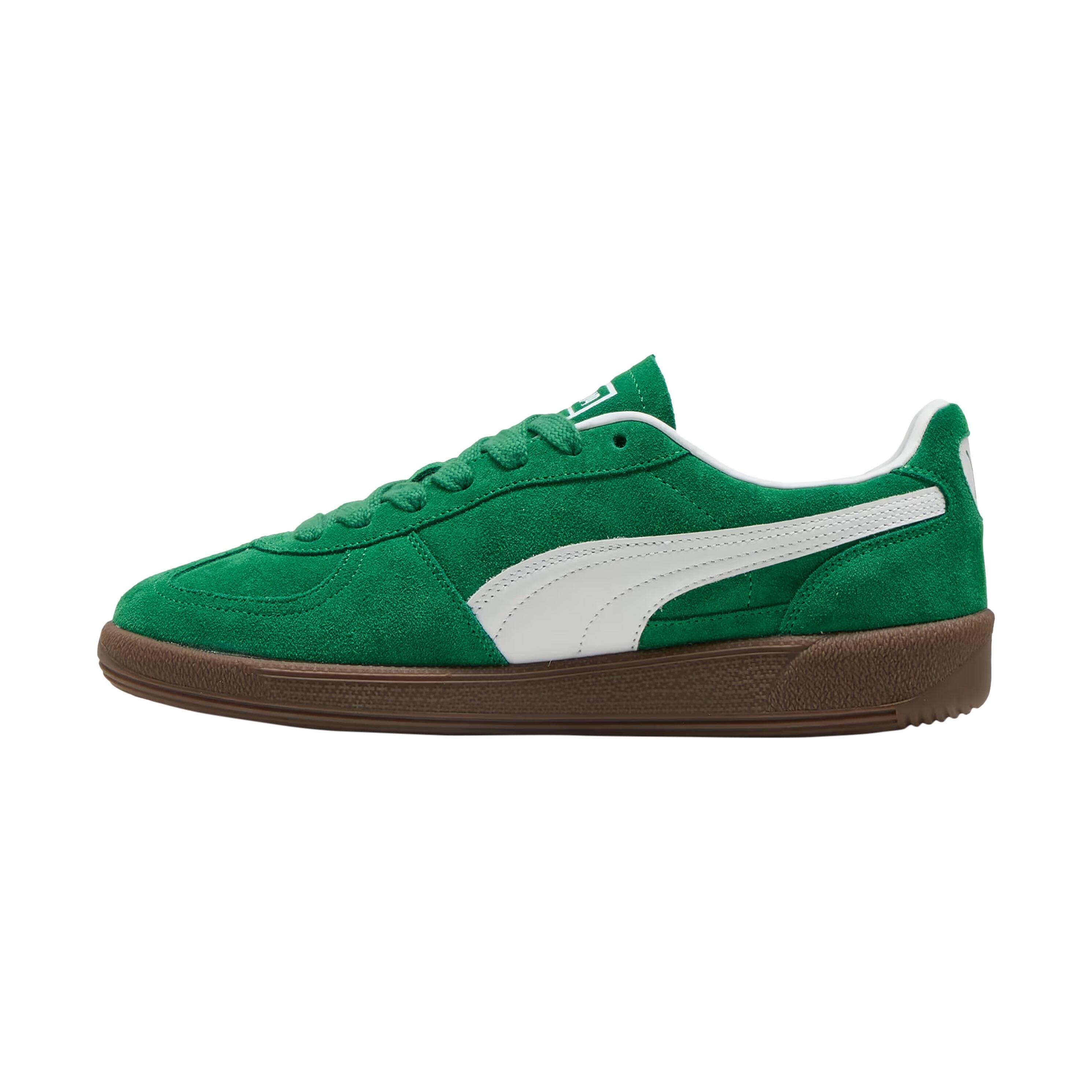 PUMA picture