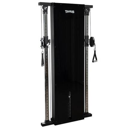 Taurus Design Line Dual Pulley 90 kg graphite
