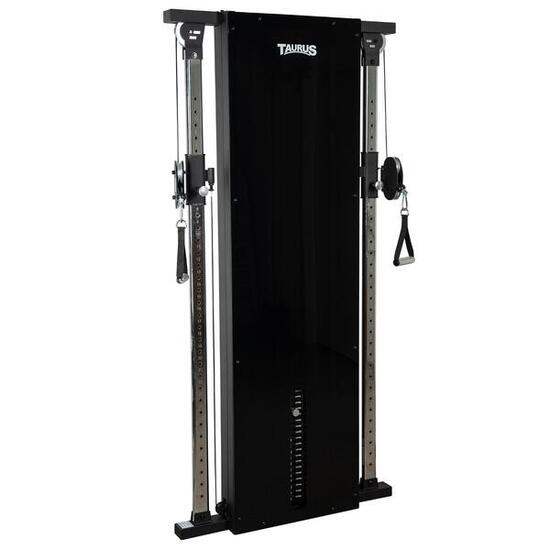 Taurus Design Line Dual Pulley 90 kg graphite