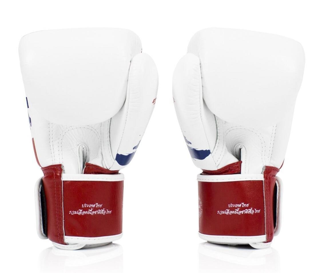 Gants de boxe Fairtex BGV1 – Noir – 16 OZ 4/4